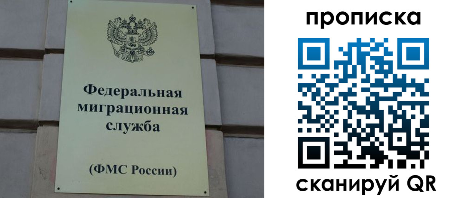 прописка поиск в Отрадном